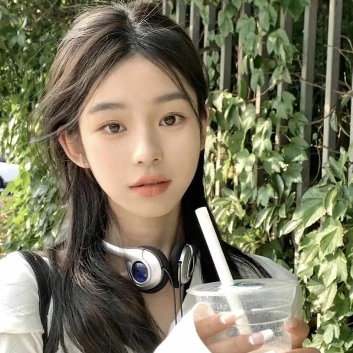 刚左档案